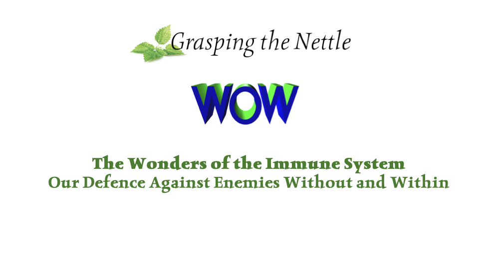 Wonders of the Immune System